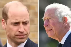 王室官员恳求威廉承认查尔斯对他的付出，被威廉直接拒绝：他不配图片