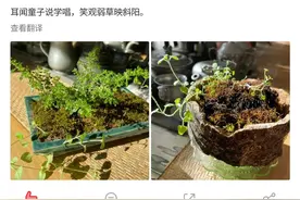 郭德纲信口诌几句诗显露疲态，弱草斜阳看淡名利，“狮虎”老了图片