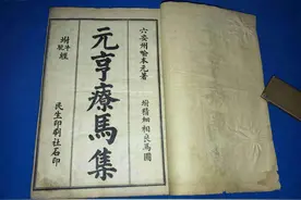 羊场的日常管理，羔羊出现跛行的原因有哪些，需要如何预防图片