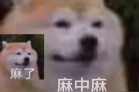 拉了14个女生进群聊天？当海王的第一天翻车翻得太猛烈了图片