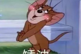 猫和老鼠表情包合辑图片