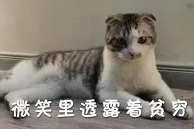 高铁上为什么没有E座？图片