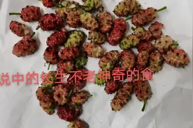 人间传说中的长生不老神奇的食品图片