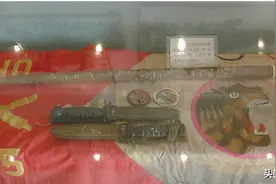 韩军出兵越南，“龙虎马”齐上阵，志愿军手下败将，屠杀平民图片