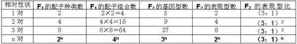 高中生物13大重要规律和公式，暑假好好背
