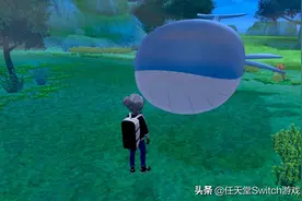 《宝可梦剑盾》DLC跟随功能解禁 丹帝服装记得领图片