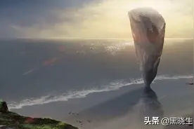 《狐狸与鲸》来自静谧世界里的一丝回应！你是否对此欣喜过？图片
