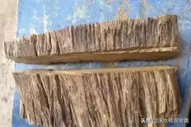 用出土的棺材和医院的人骨标本做手串！你的命有多硬？图片