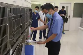 规范宠物医疗废弃物处理流程，别让“宠爱”成为“宠害”图片