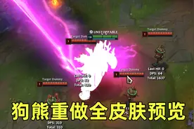 狗熊重做全皮肤预览：买狗熊白嫖紫色特效皮肤！视频封面