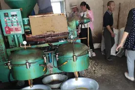 农村油坊榨油不收加工费，但是得把油渣留下，油渣到底有何用处？图片