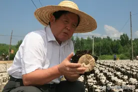 “蘑菇院士”李玉：食用菌强国不是梦图片