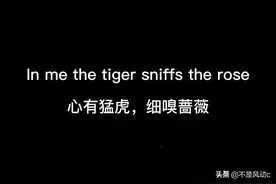 一眼就惊艳的中文翻译，心有猛虎，细嗅蔷薇图片