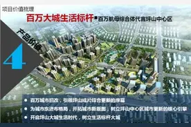 坪山区正山甲片区城市更新 百万航母生活大城标杆 代言坪山中心区图片