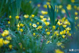 《鸟和飞鱼的故事》：世界上最遥远的距离，是飞鸟与鱼的距离图片