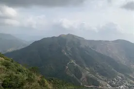 山岭发现天然石狗形象巨型石头，震惊人图片
