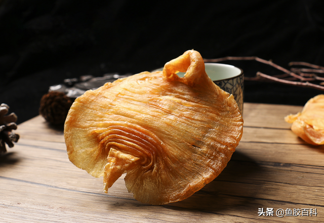 花胶的百科 2026年花胶百度百科