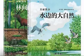 山光悦鸟性，潭影空人心图片