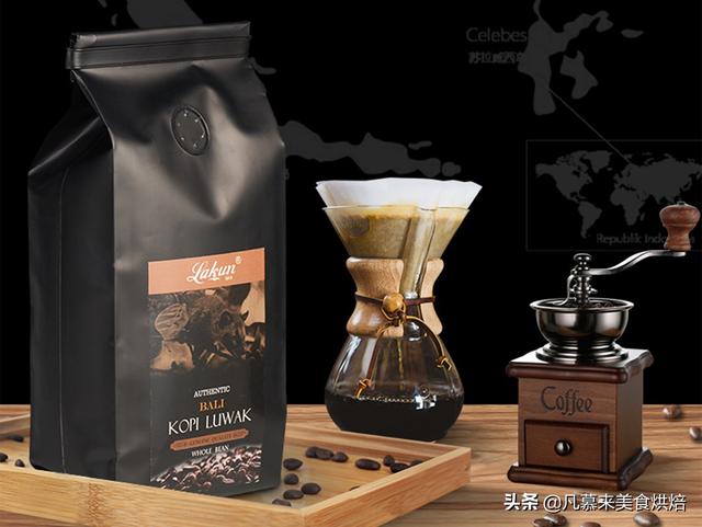几千元一斤的猫屎咖啡是怎么来的？真是“猫拉出来的屎”？