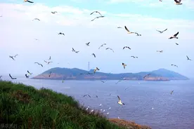 女人独立，从来不易，可是独立的女人自带光芒，是值得的图片