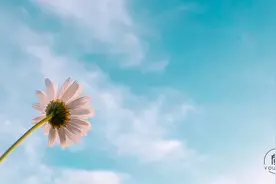 人这一辈子，所有遇见，皆有因果图片