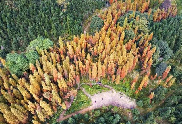 只有10%广东人才知道的粤北“云海天池红叶”，让人一眼沦陷