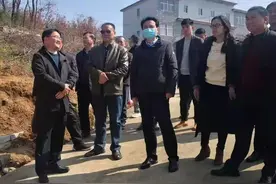 商城县信振办工作动态之三十三——县长周哲调研督导红色旅游特色小镇项目建设图片