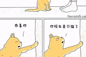 小动物能有什么坏心思呢？假如宠物会说话，一组漫画告诉你答案图片