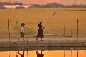 偷拍儿女4年，终成宫崎骏电影，这位日本爸爸每天被6万人催晒娃图片