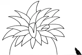 儿童画教程 |趣味线描画之菠萝的花外衣图片