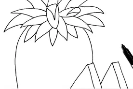 儿童画教程 |趣味线描画之菠萝的花外衣图片
