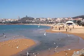 养马岛海水浴场进行全天候封闭施工图片
