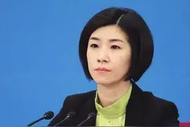 国家“御用”翻译：半路出家，入职21年实力是最大靠山图片