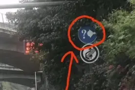 高速新增“问号灯泡”标志啥意思？交警：不懂别上路，12分不够扣图片