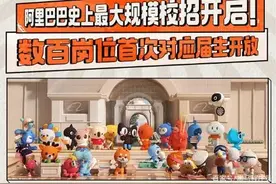阿里史上最大规模校招正式开启，花2万块钱面试外挂进去值不值？图片