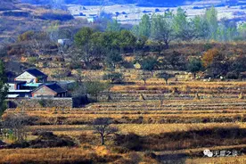 杭苏19 苏轼牢骚体诗词鉴赏：从叨叨叨到呵呵呵图片