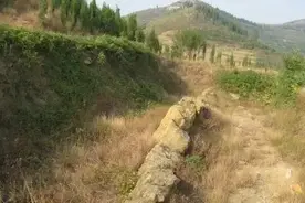 山东农民发现一座千年古墓大门敞开，考古队：下面埋着开国宰相墓图片