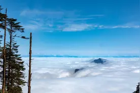 雨后的瓦屋山，真的美如仙境，一定要去打卡~图片