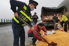 暖！10吨玉米散落高速，“一路三方”施救减少损失图片