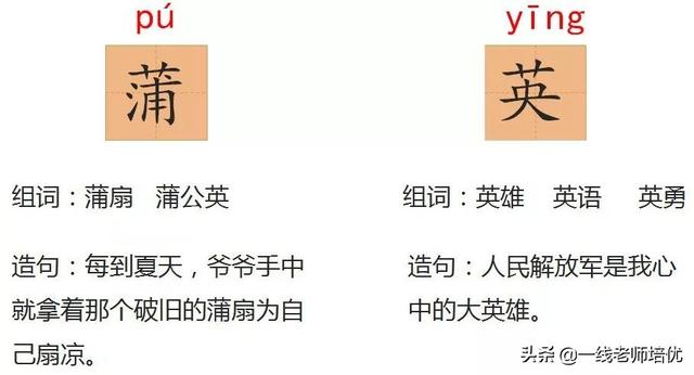 知识点+练习题 】部编版三年级语文上册 16 金色的草地