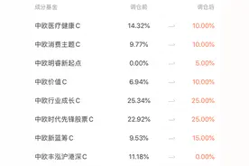 中欧全明星组合，一个全面配置的组合基金图片