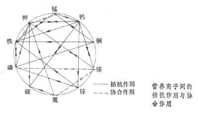 导致土壤透气性变差和有机质含量低的原因与解决方案