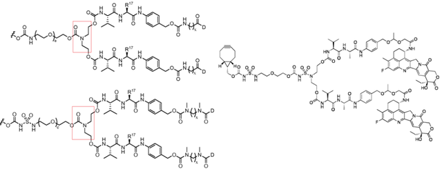 多项授权合作，Synaffix公司ADC专利技术解析