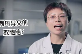 罕见！一母同胞双胞胎有两个父亲，亲子鉴定师：同时满足三个条件图片