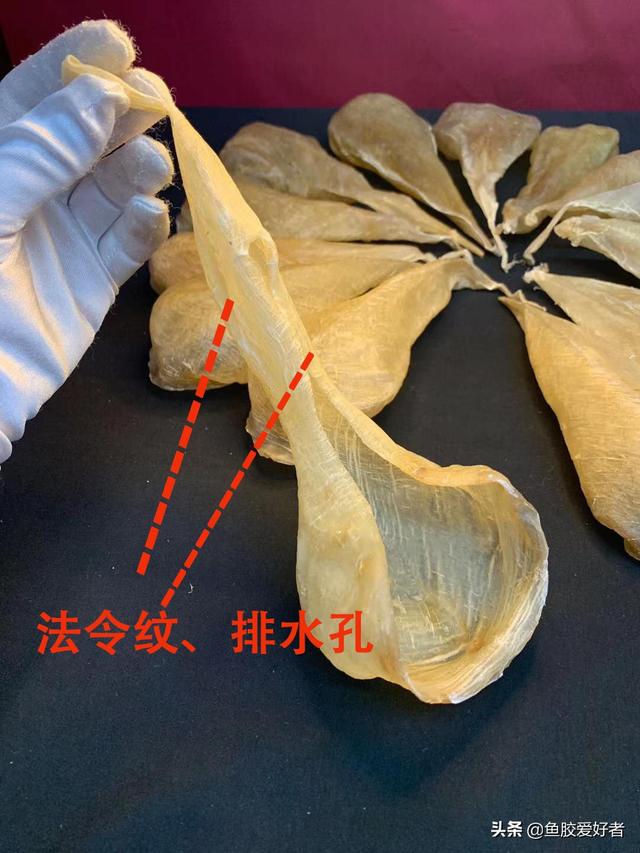 白花胶的功效与作用 南澳白花胶的功效与作用