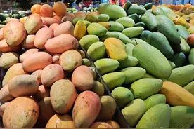 春天芒果大量上市，台芒、贵妃芒、青芒哪个值得买？味道差别大了图片