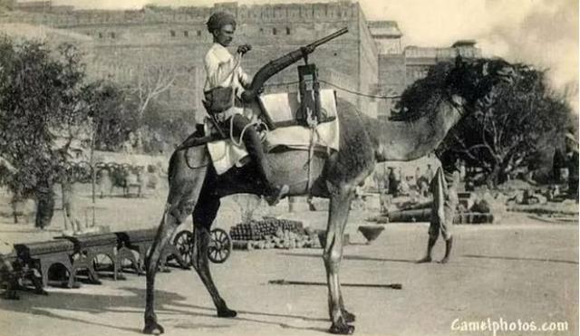 骆驼背上的枪炮，现实版的合金弹头