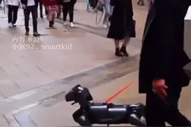 稀奇！上海街头竟有人遛机械狗！遛狗也这么内卷了？图片
