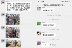 贾家山村：看滞销苹果的逆袭之路图片