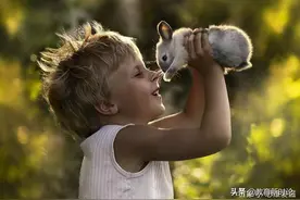 孩子喜欢小动物？那就让他多接触，学会多维度地看待问题是关键图片